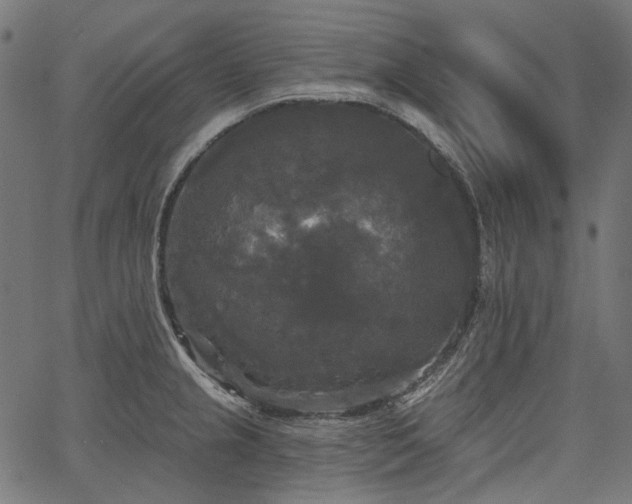 X0000067391237200603311251