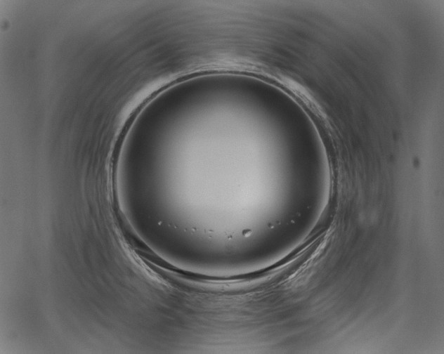 X0000067391238200603311251