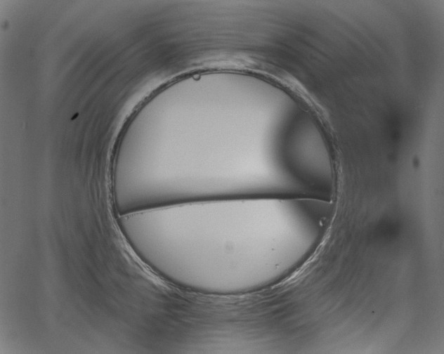 X0000067391240200603311251