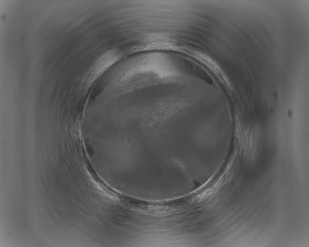 X0000067391241200603311251