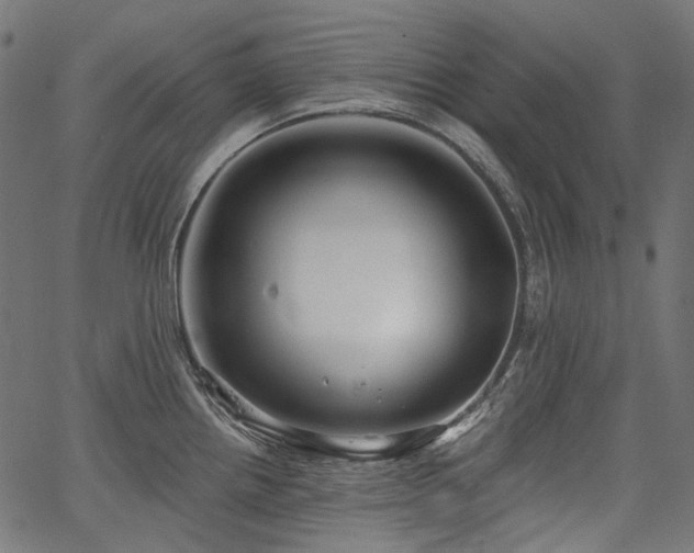 X0000067391242200603311251