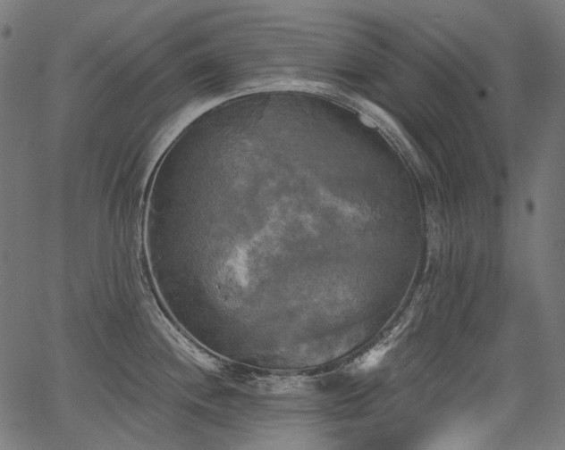 X0000067391244200603311251