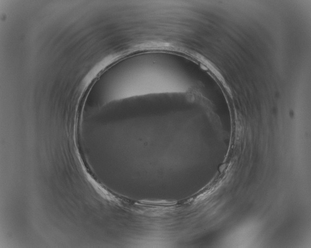 X0000067391245200603311251