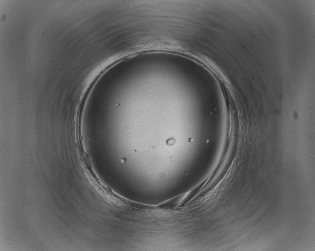 X0000067391246200603311251