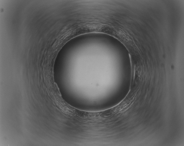 X0000067391249200603311250