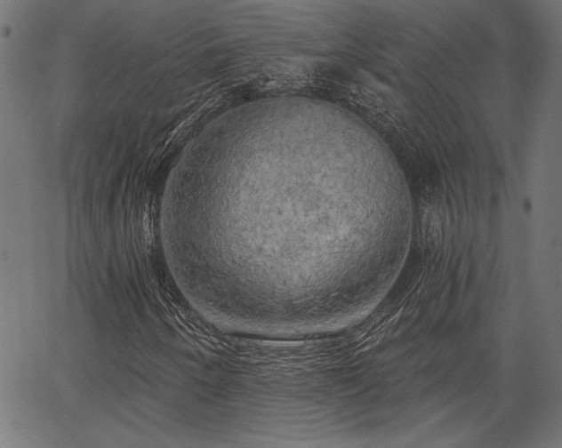 X0000067391250200603311250