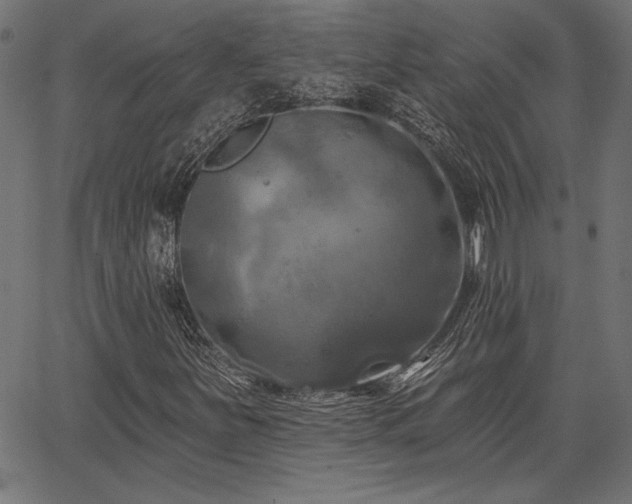 X0000067391251200603311250