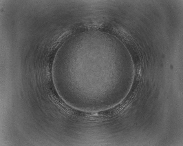 X0000067391252200603311250