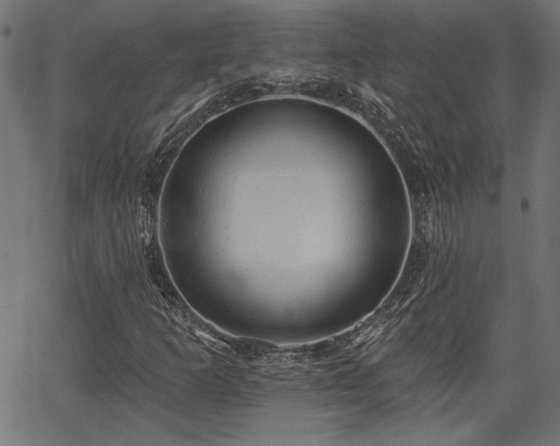 X0000067391253200603311250