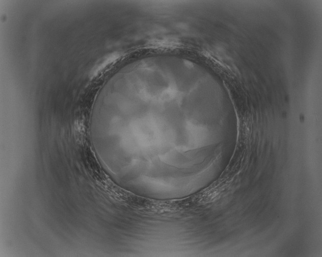 X0000067391254200603311250