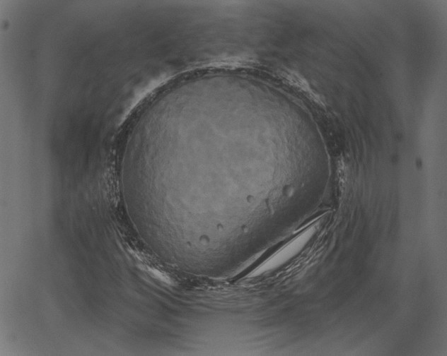 X0000067391256200603311250