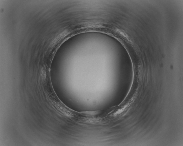 X0000067391257200603311250