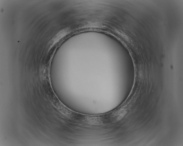 X0000067391258200603311250