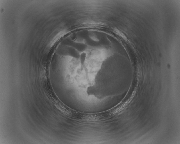 X0000067391259200603311250