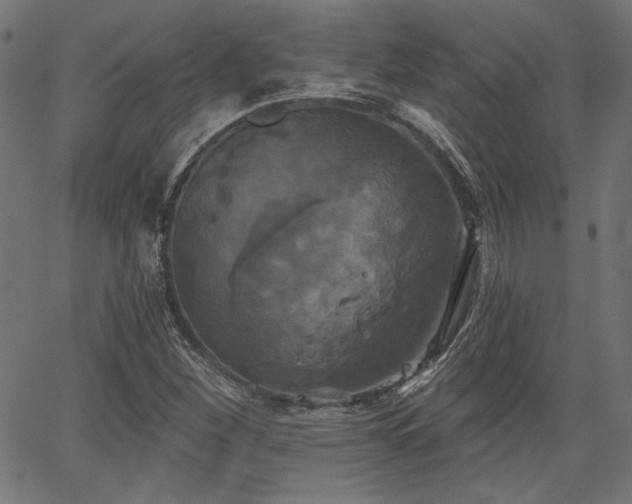 X0000067391260200603311250