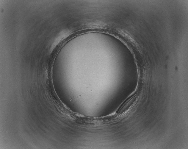 X0000067391261200603311250