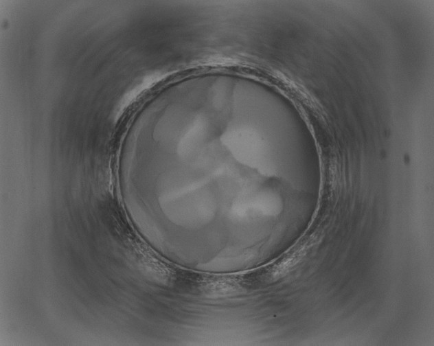 X0000067391262200603311250