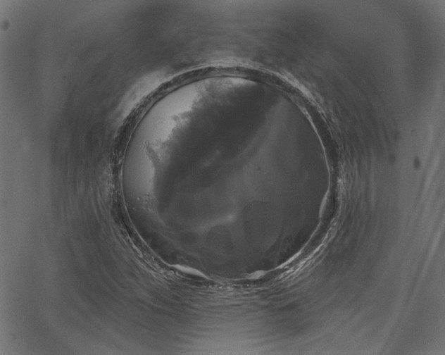 X0000067391263200603311250