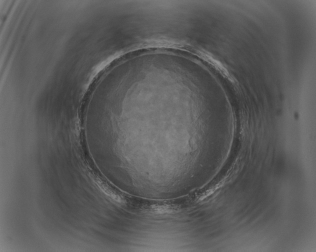 X0000067391264200603311250