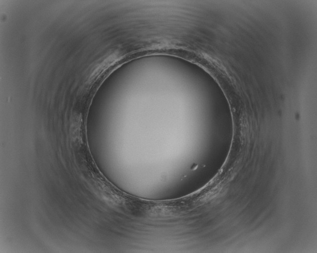 X0000067391265200603311250