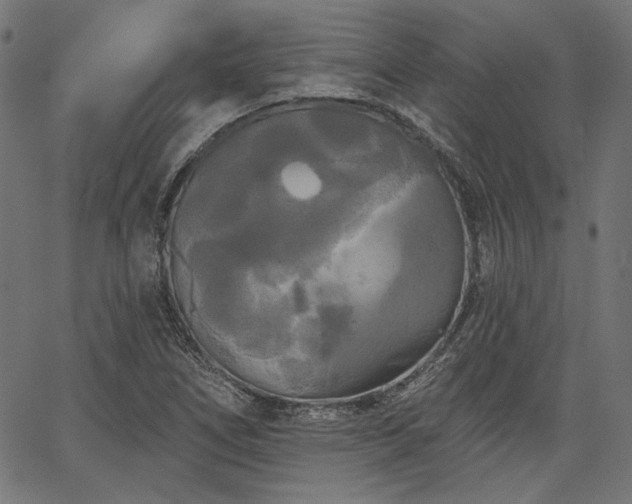 X0000067391266200603311250