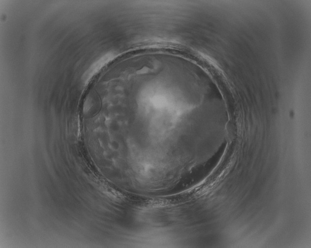 X0000067391267200603311250