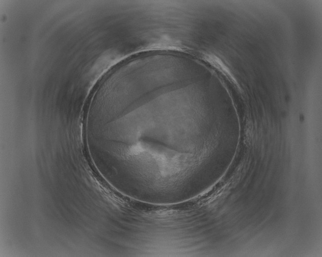 X0000067391268200603311250