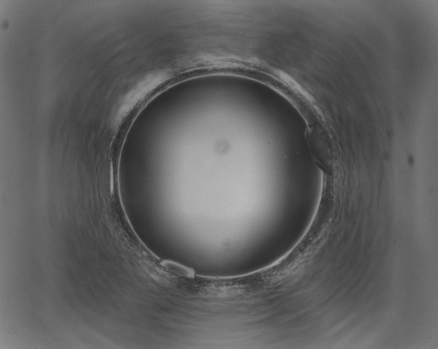 X0000067391269200603311250