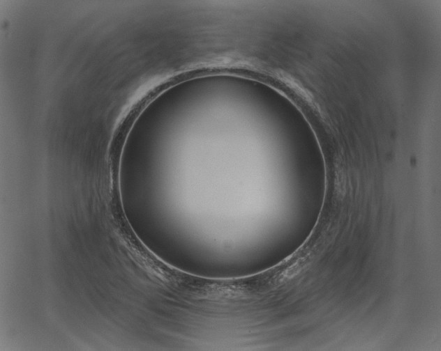 X0000067391270200603311250