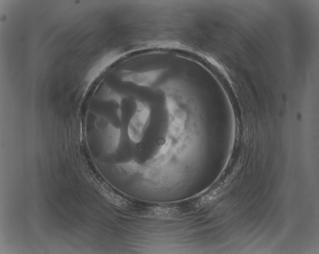 X0000067391271200603311250