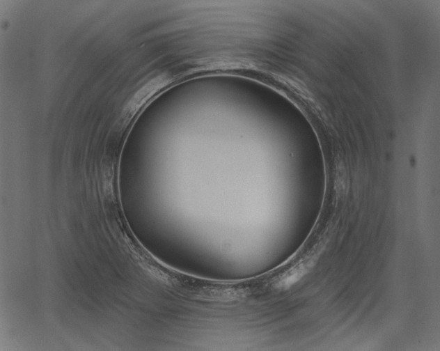 X0000067391273200603311250