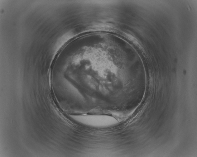 X0000067391275200603311250