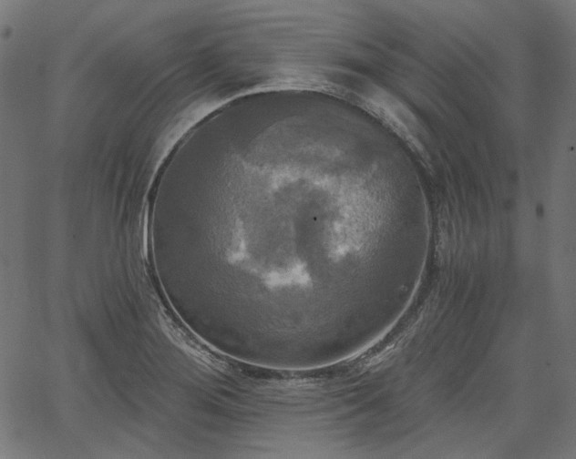 X0000067391276200603311250