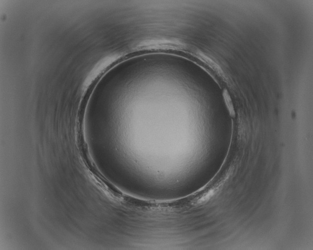 X0000067391277200603311250