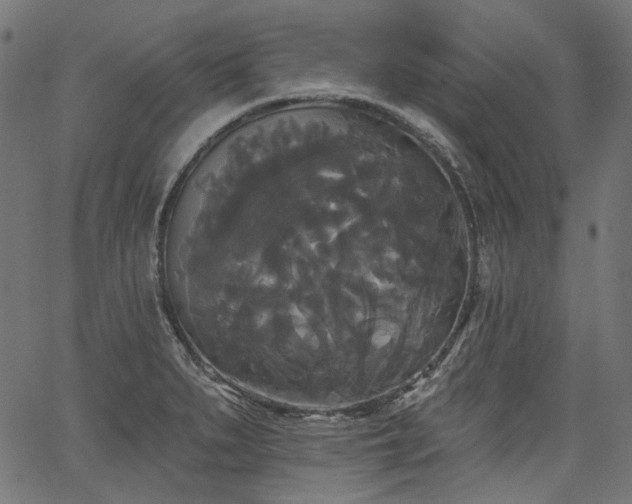 X0000067391279200603311250