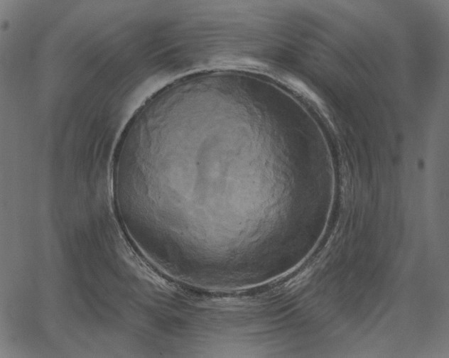 X0000067391280200603311250