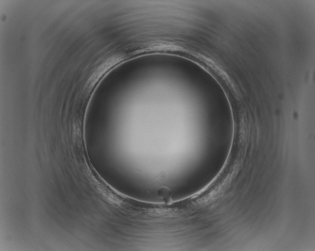 X0000067391281200603311250