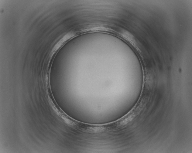 X0000067391282200603311250