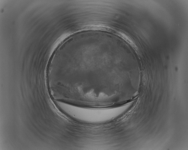 X0000067391283200603311250