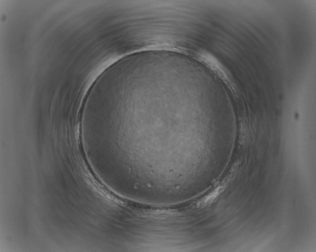 X0000067391284200603311250