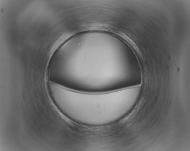 X0000067391285200603311250