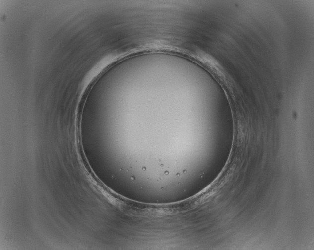 X0000067391286200603311250