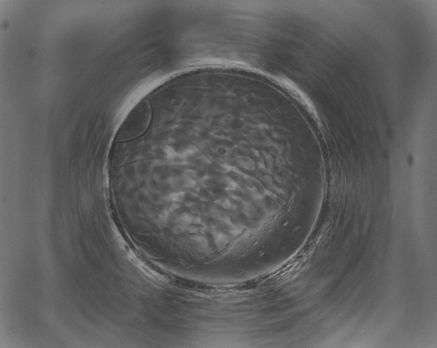 X0000067391287200603311249