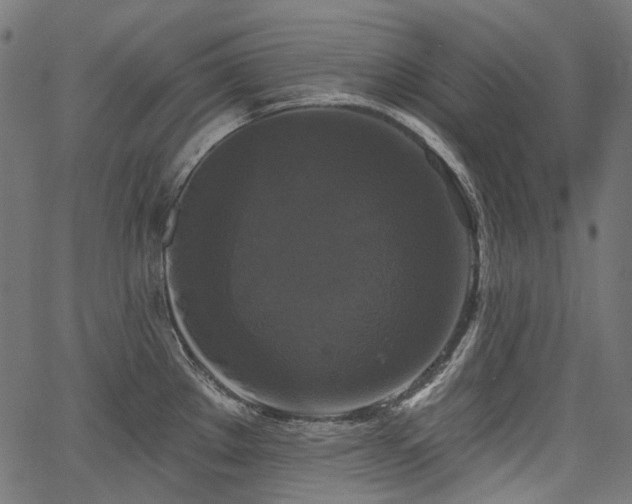 X0000067391289200603311249