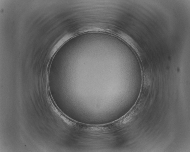 X0000067391290200603311249