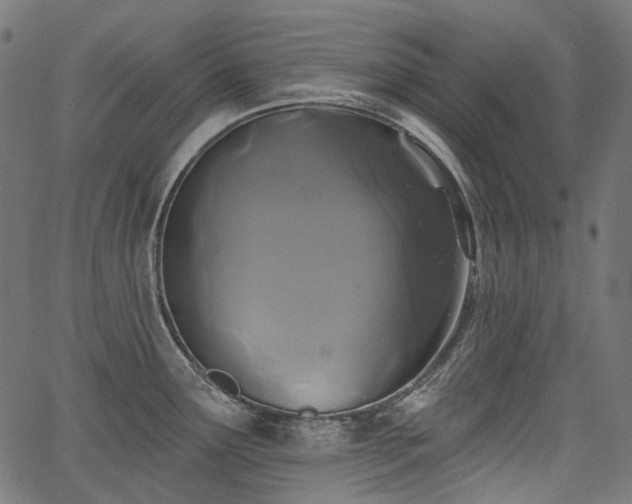 X0000067391291200603311249