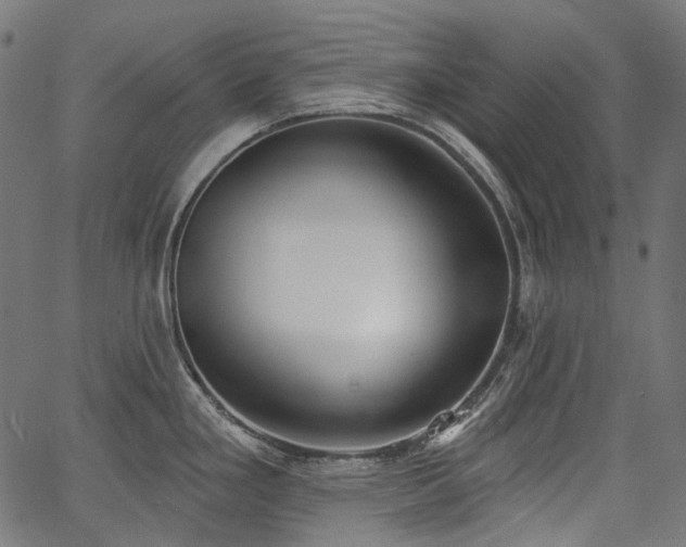 X0000067391293200603311249