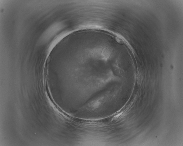 X0000067391295200603311249