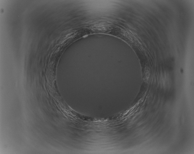 X0000067391297200603311249