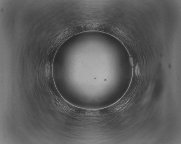 X0000067391299200603311249